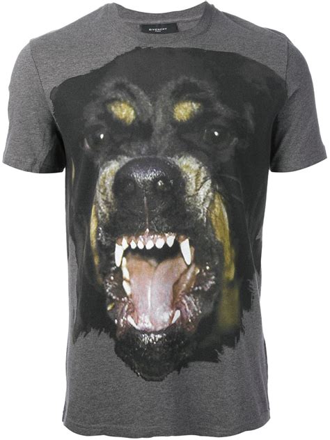 givenchy rottweiler t shirt grey|givenchy rottweiler shirt price.